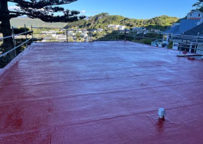Liquid Membrane Case Coat