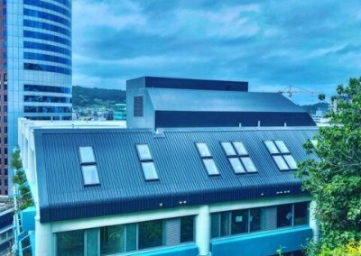Iron Roof, Membrane and Skylights