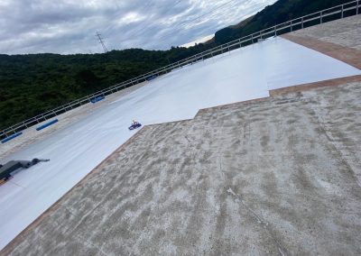 PVC / TPO